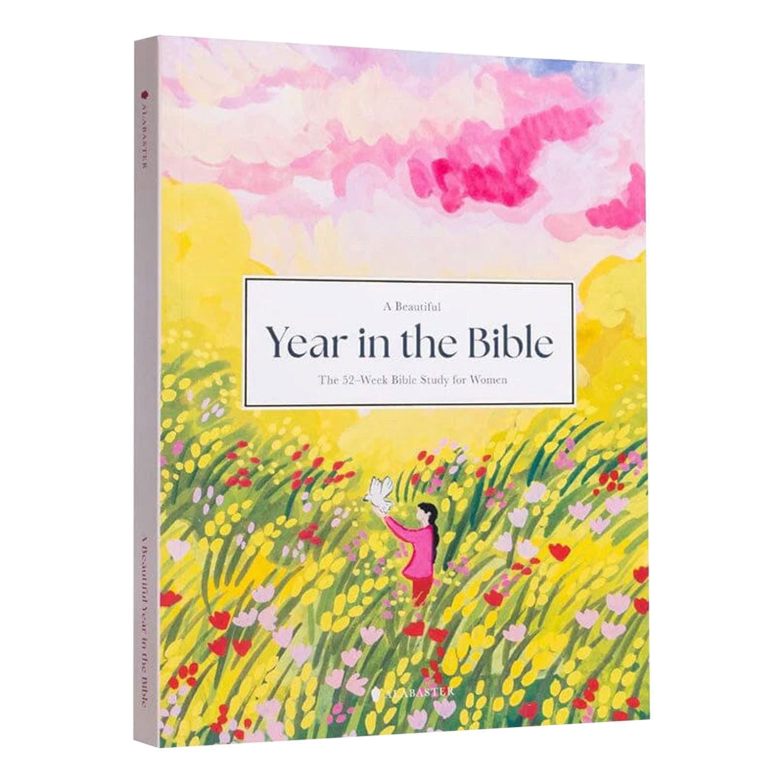 A Good Year in the Bible 52 Week Bible Study Workbook for Women